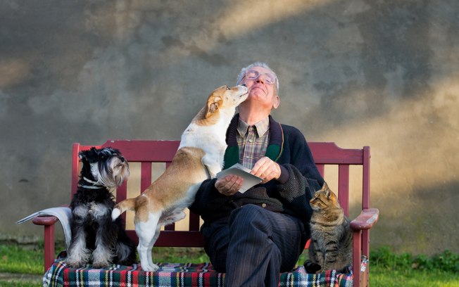 Os benefícios de animais de estimação aos idosos reclusos