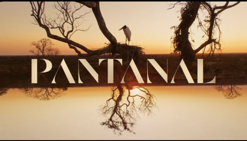 Pantanal: sucesso de audiência, a novela atendeu as expectativas do público na noite de ontem (7)